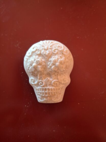 Day of the Dead Refrigerator Magnet