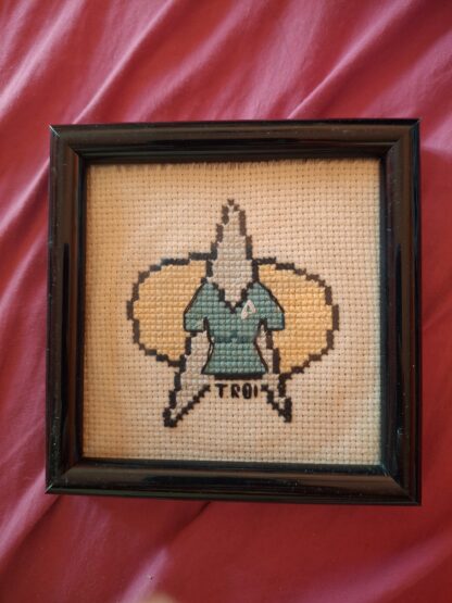 TNG Deanna Finished Cross Stitch